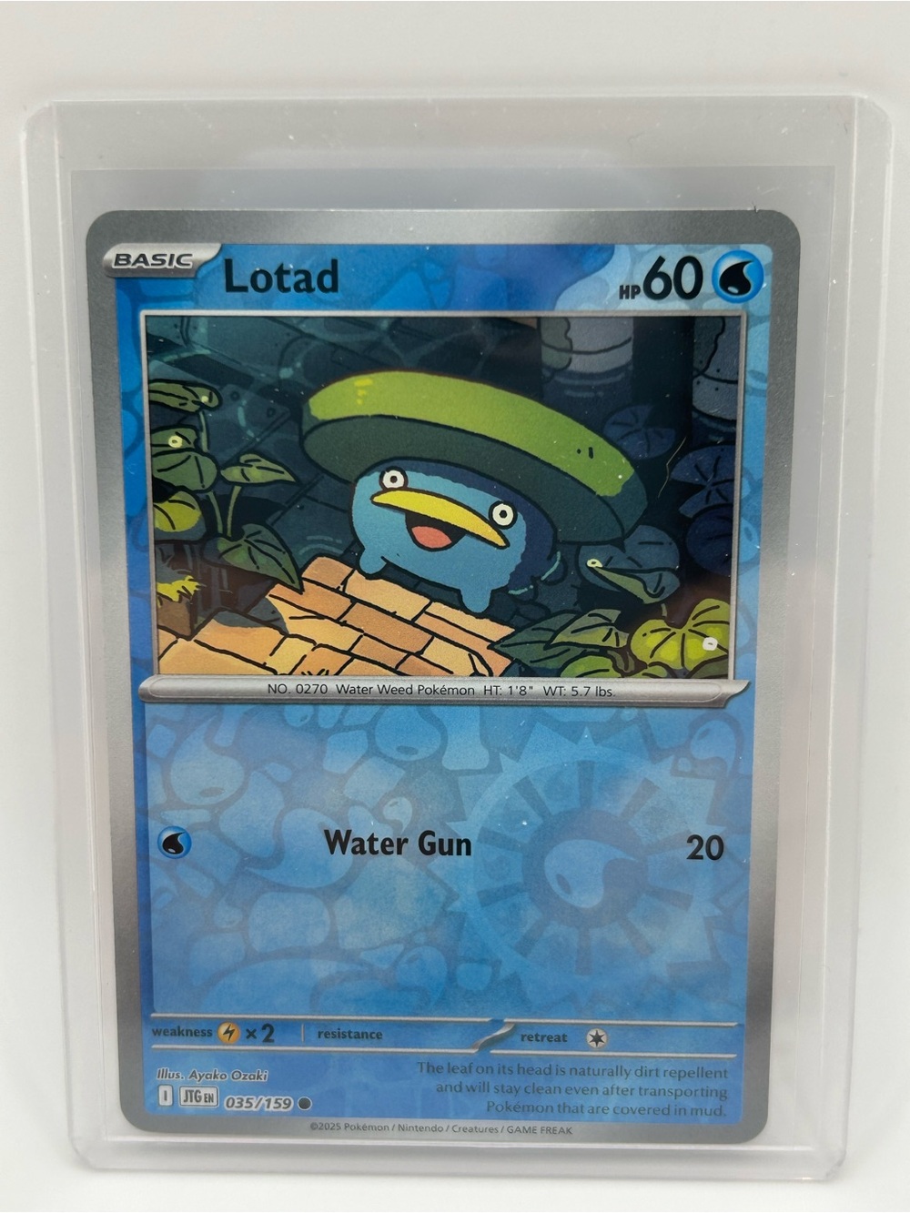 Lotad Pokémon Card - 035/159 - Picture 1 of 2